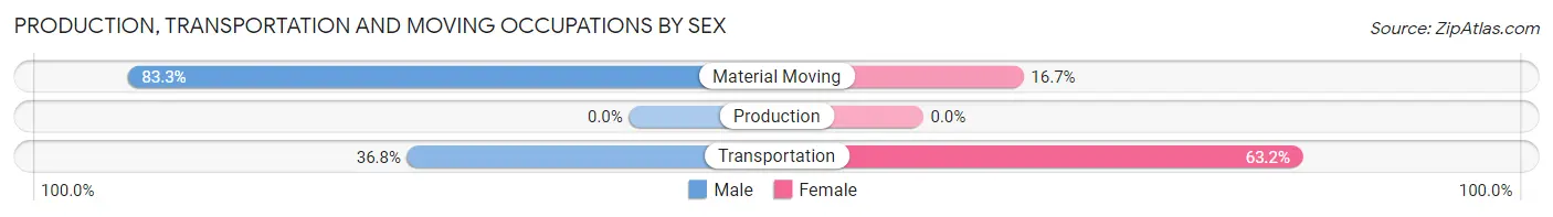 Production, Transportation and Moving Occupations by Sex in Fairchild AFB