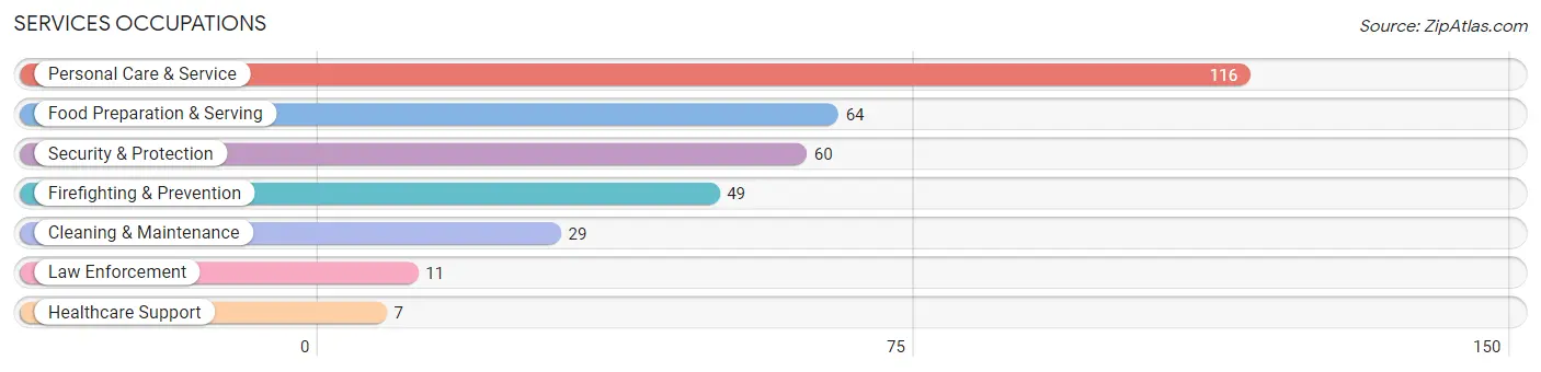 Services Occupations in Fall City