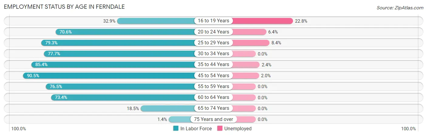 Employment Status by Age in Ferndale