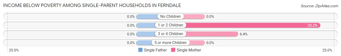 Income Below Poverty Among Single-Parent Households in Ferndale