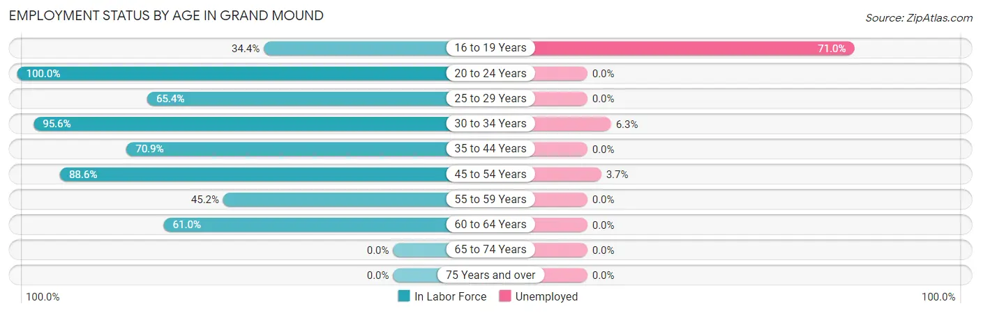 Employment Status by Age in Grand Mound