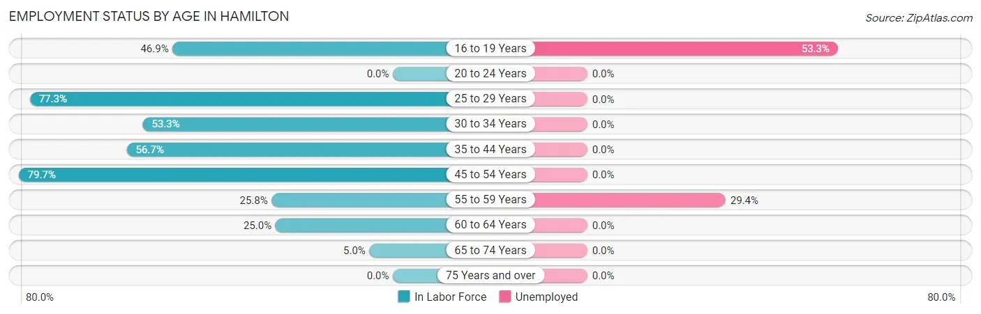 Employment Status by Age in Hamilton