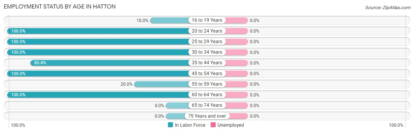 Employment Status by Age in Hatton