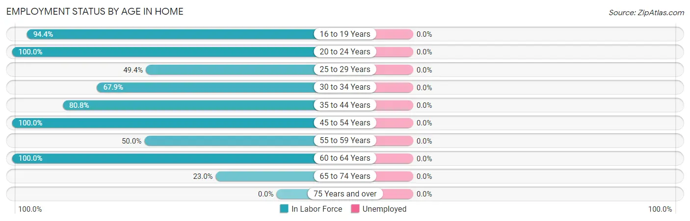Employment Status by Age in Home