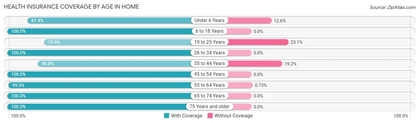 Health Insurance Coverage by Age in Home