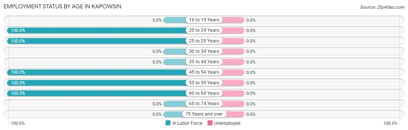 Employment Status by Age in Kapowsin