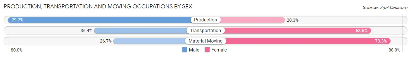 Production, Transportation and Moving Occupations by Sex in Kayak Point