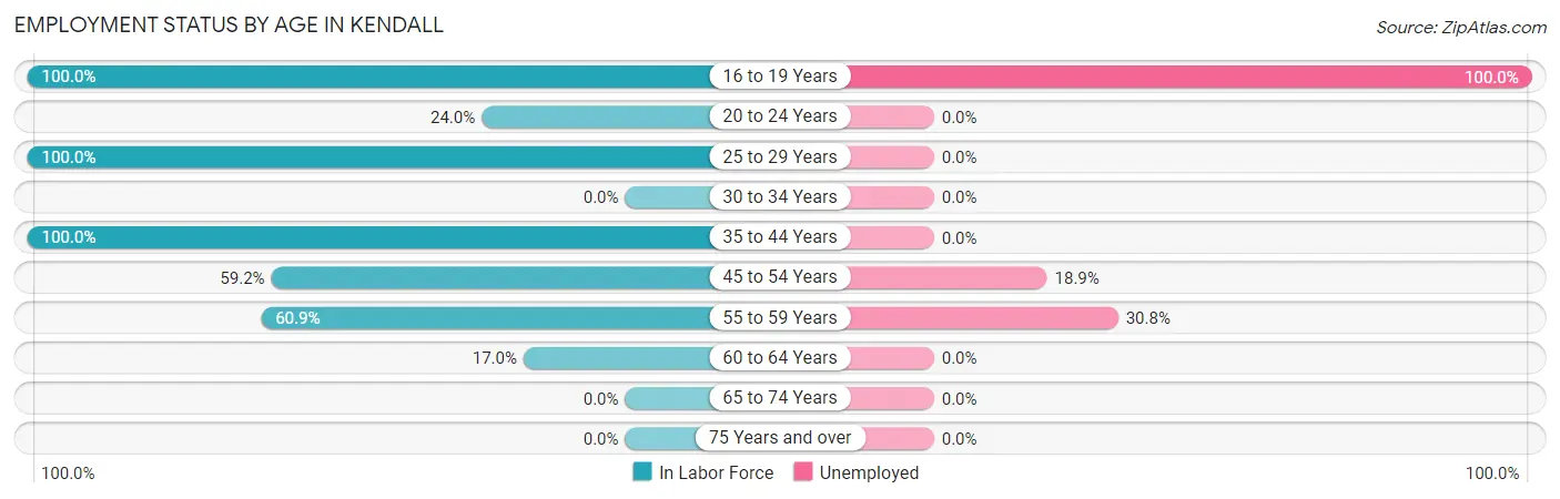 Employment Status by Age in Kendall
