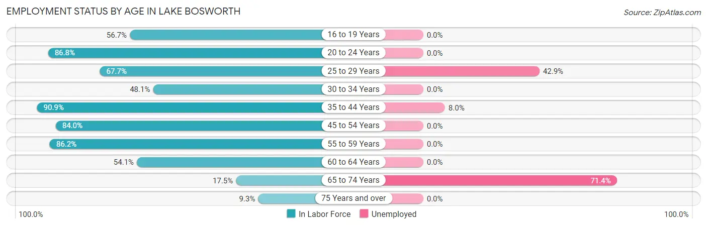 Employment Status by Age in Lake Bosworth