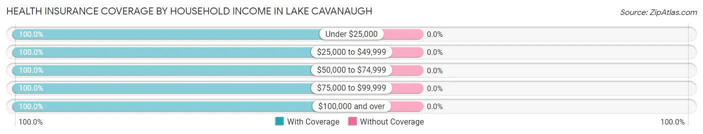 Health Insurance Coverage by Household Income in Lake Cavanaugh