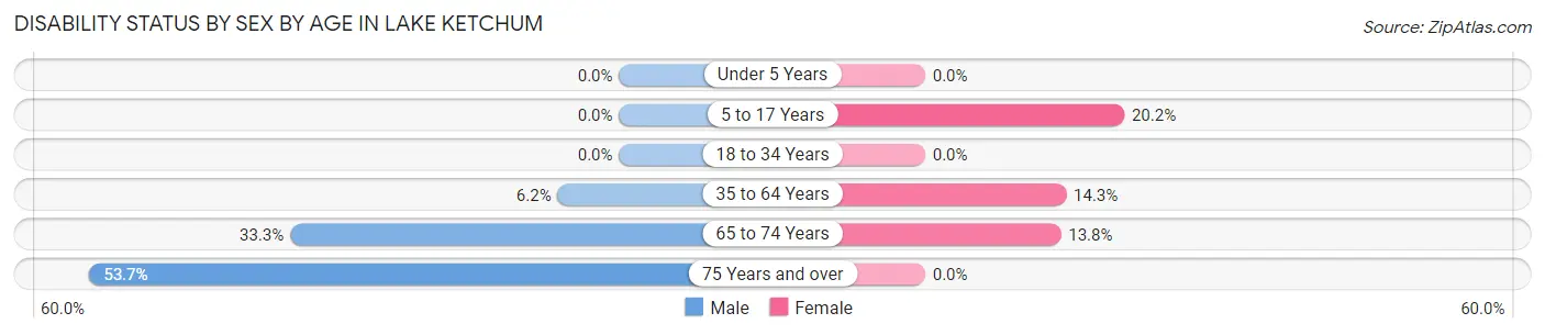 Disability Status by Sex by Age in Lake Ketchum