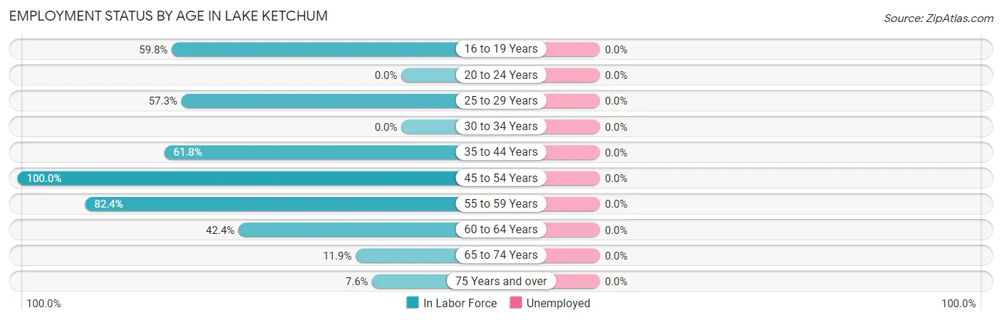 Employment Status by Age in Lake Ketchum