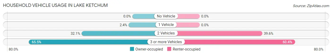 Household Vehicle Usage in Lake Ketchum