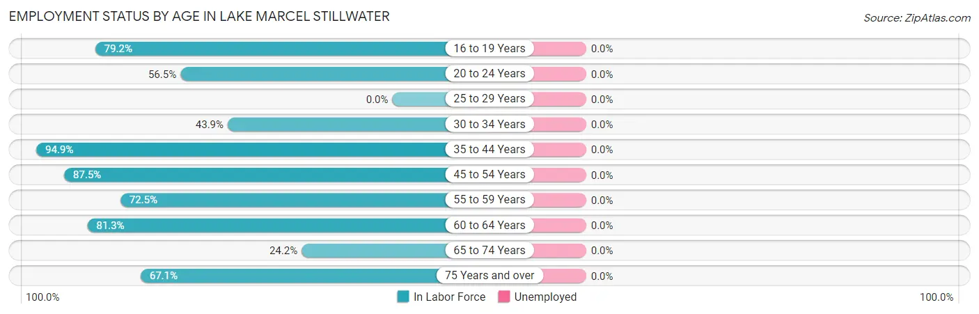 Employment Status by Age in Lake Marcel Stillwater