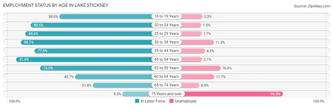 Employment Status by Age in Lake Stickney