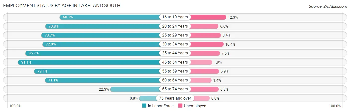Employment Status by Age in Lakeland South