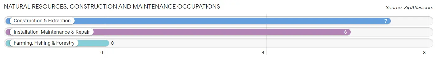 Natural Resources, Construction and Maintenance Occupations in Langley