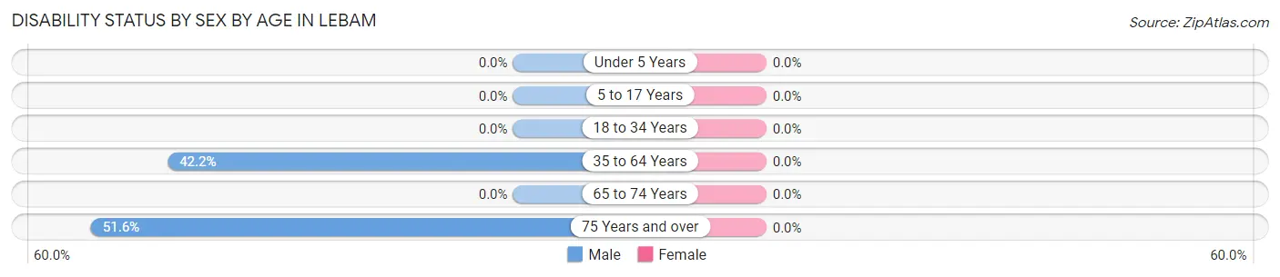 Disability Status by Sex by Age in Lebam