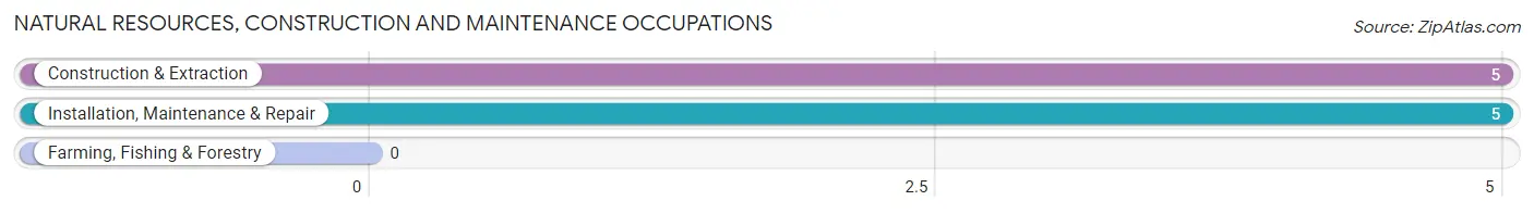 Natural Resources, Construction and Maintenance Occupations in Lebam