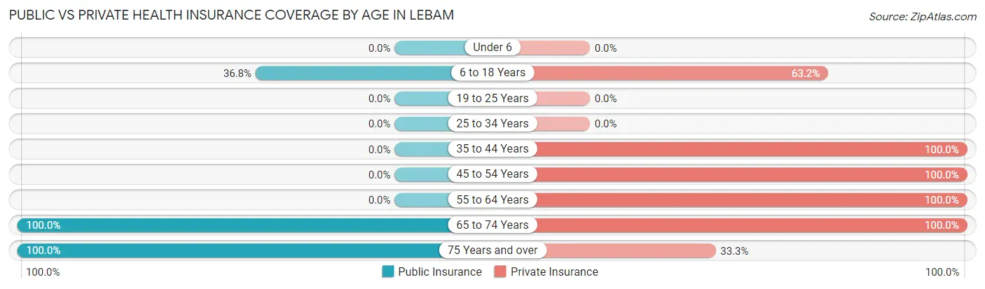 Public vs Private Health Insurance Coverage by Age in Lebam