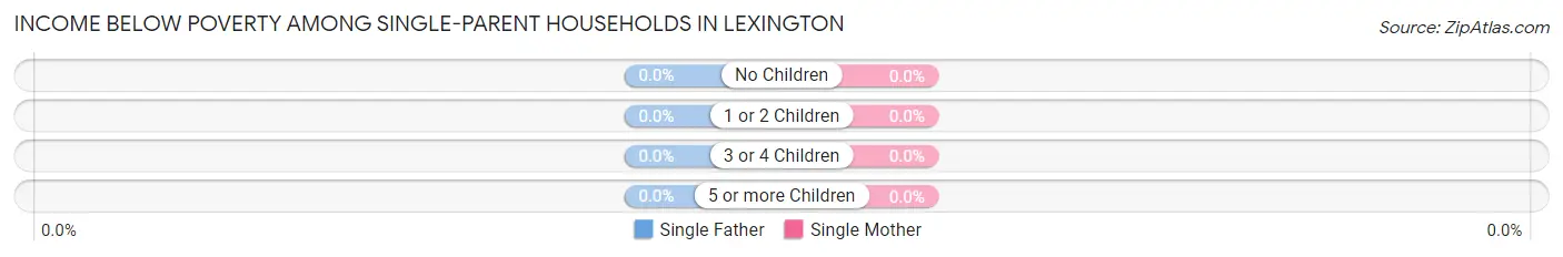 Income Below Poverty Among Single-Parent Households in Lexington