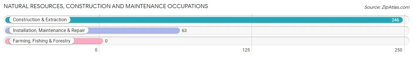 Natural Resources, Construction and Maintenance Occupations in Lexington