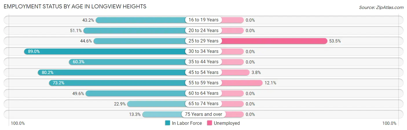 Employment Status by Age in Longview Heights