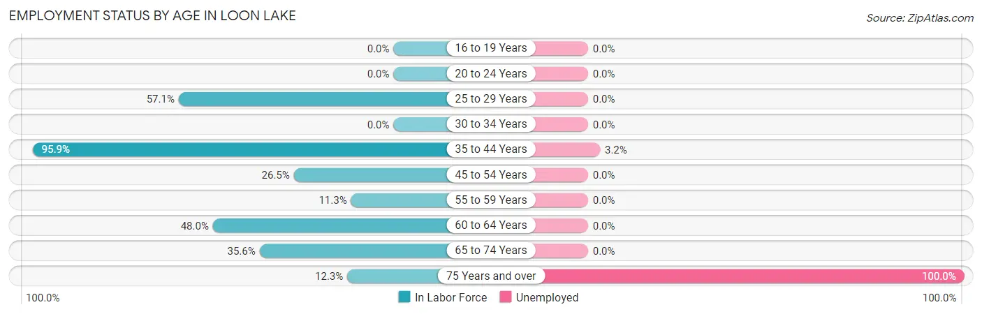 Employment Status by Age in Loon Lake
