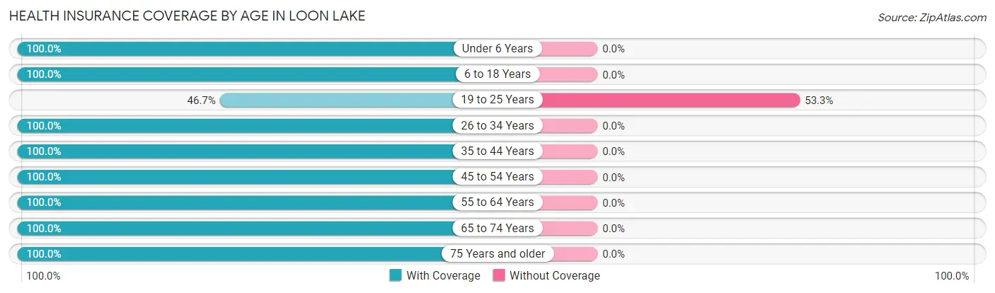 Health Insurance Coverage by Age in Loon Lake
