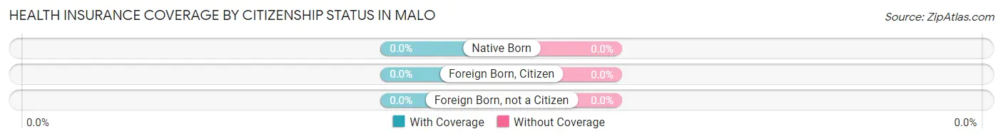 Health Insurance Coverage by Citizenship Status in Malo