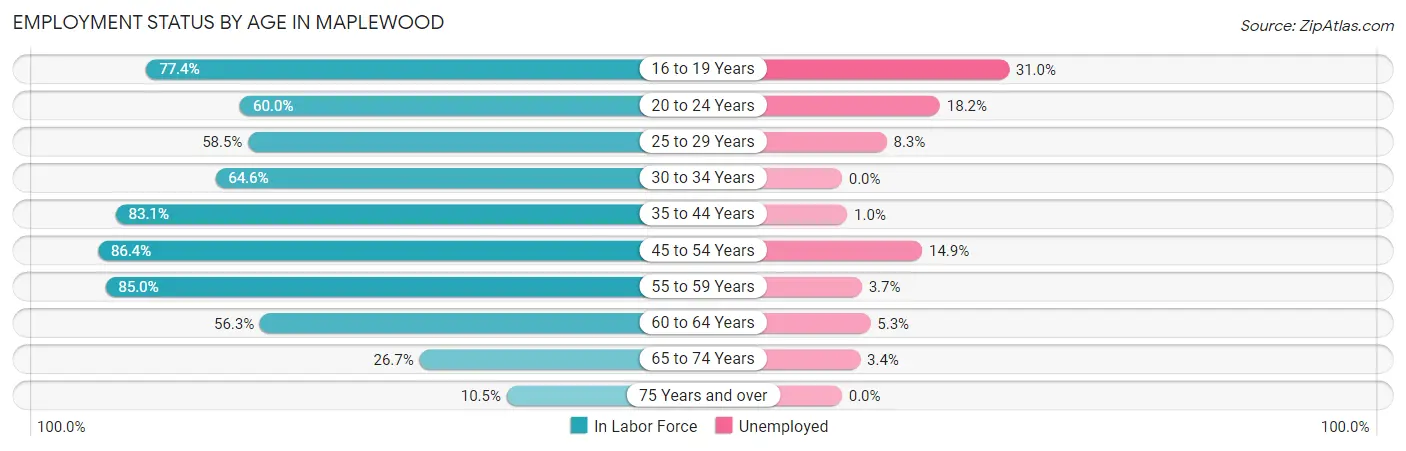 Employment Status by Age in Maplewood