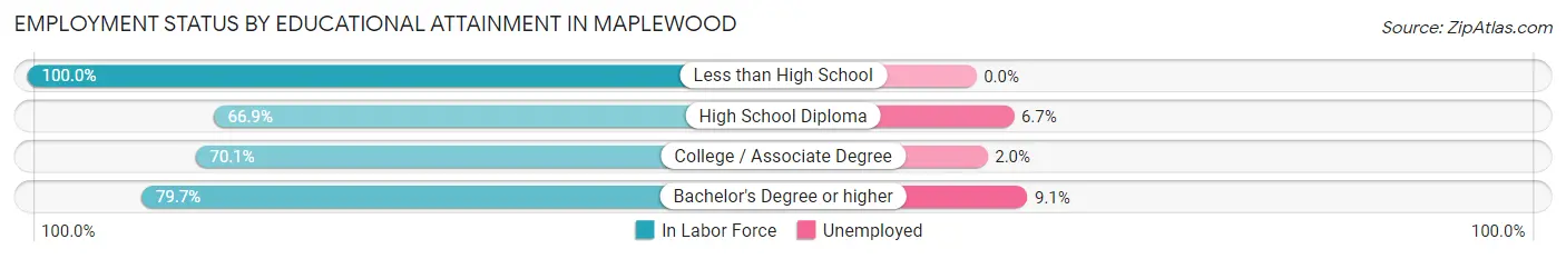 Employment Status by Educational Attainment in Maplewood