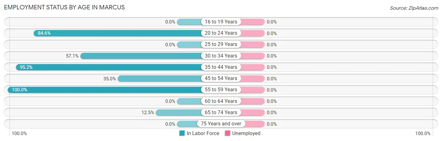 Employment Status by Age in Marcus
