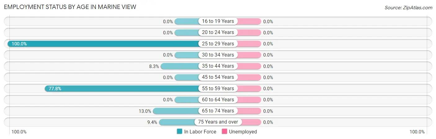 Employment Status by Age in Marine View
