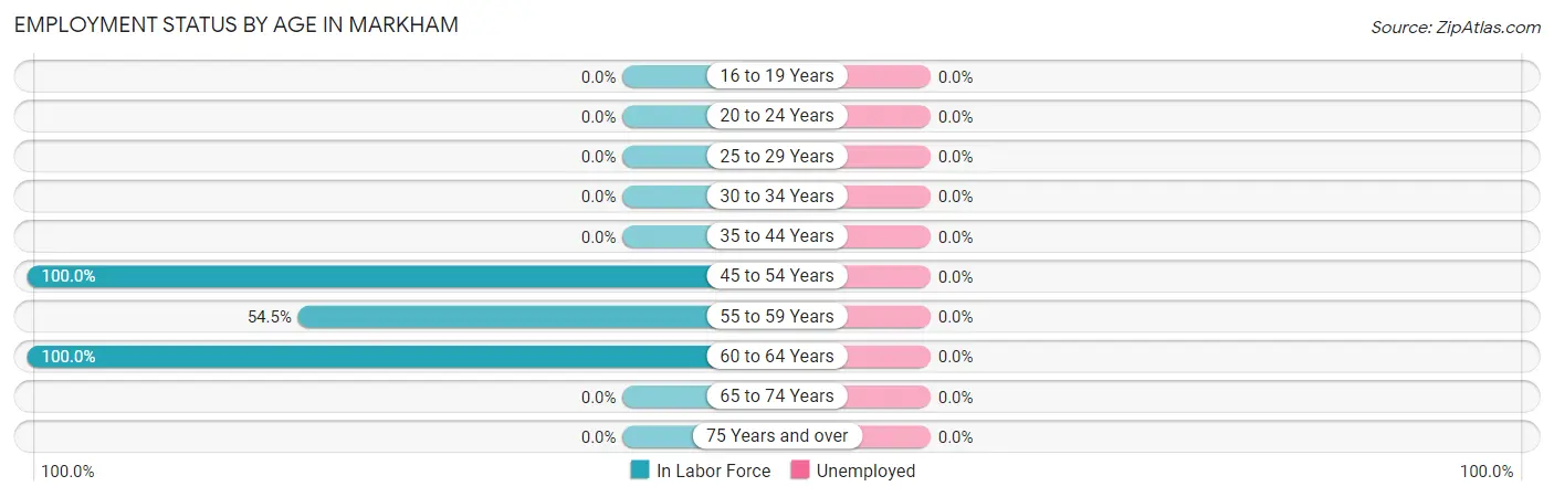 Employment Status by Age in Markham