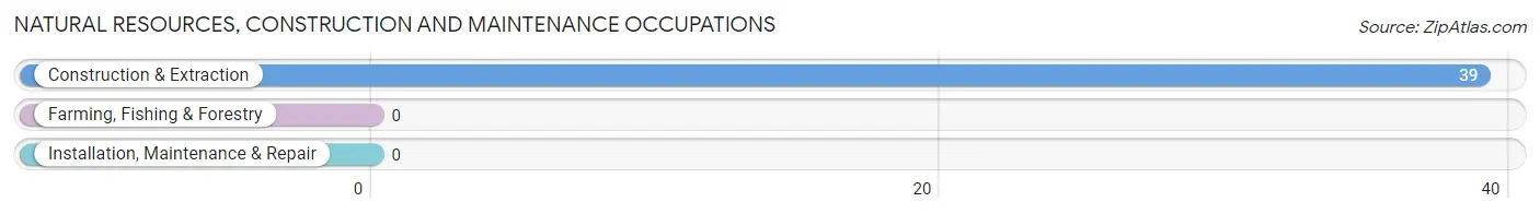 Natural Resources, Construction and Maintenance Occupations in Marrowstone