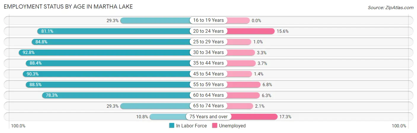 Employment Status by Age in Martha Lake