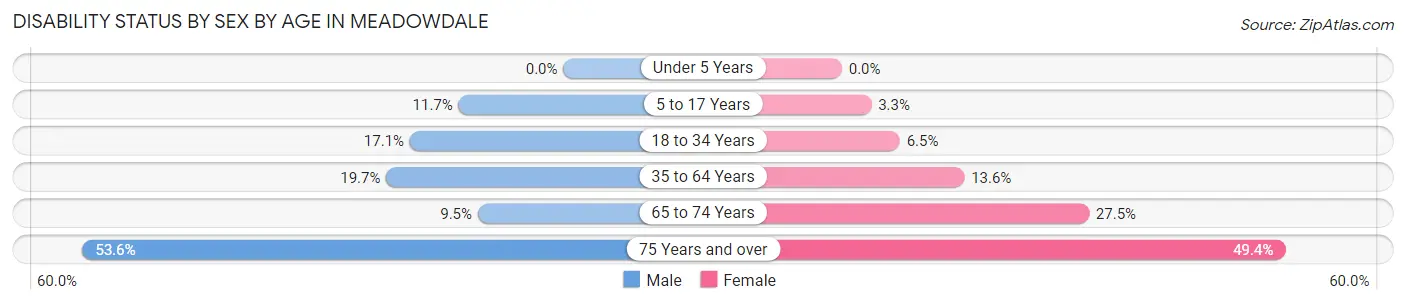 Disability Status by Sex by Age in Meadowdale