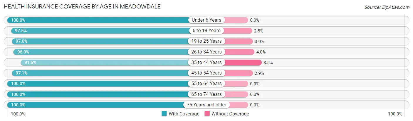 Health Insurance Coverage by Age in Meadowdale