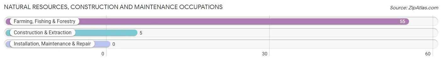 Natural Resources, Construction and Maintenance Occupations in Mesa