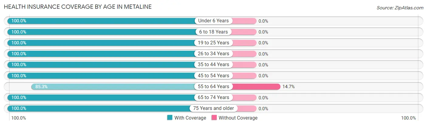 Health Insurance Coverage by Age in Metaline