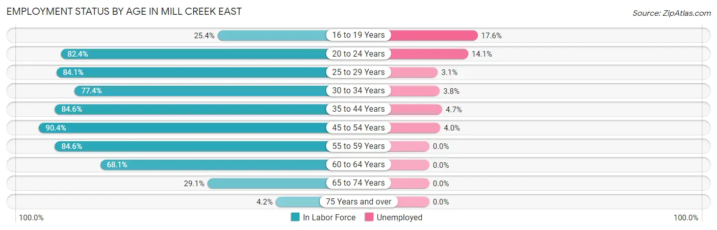 Employment Status by Age in Mill Creek East