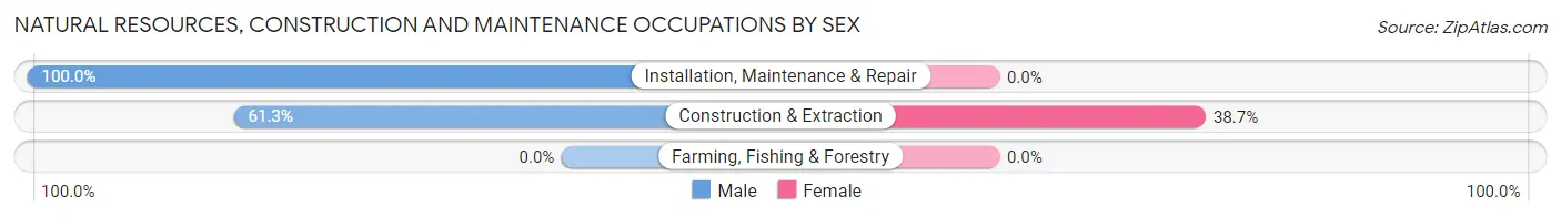 Natural Resources, Construction and Maintenance Occupations by Sex in Millwood