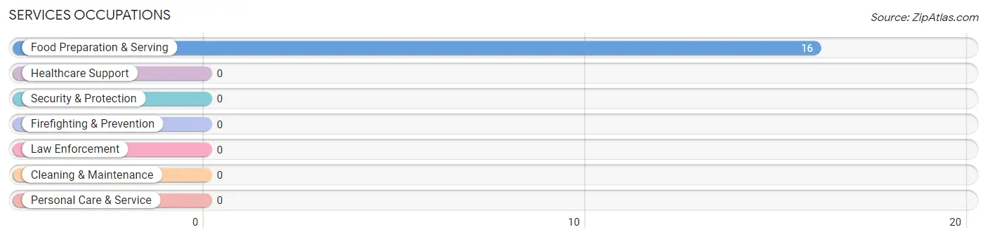 Services Occupations in Mineral