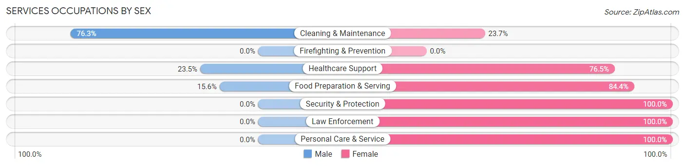Services Occupations by Sex in Minnehaha