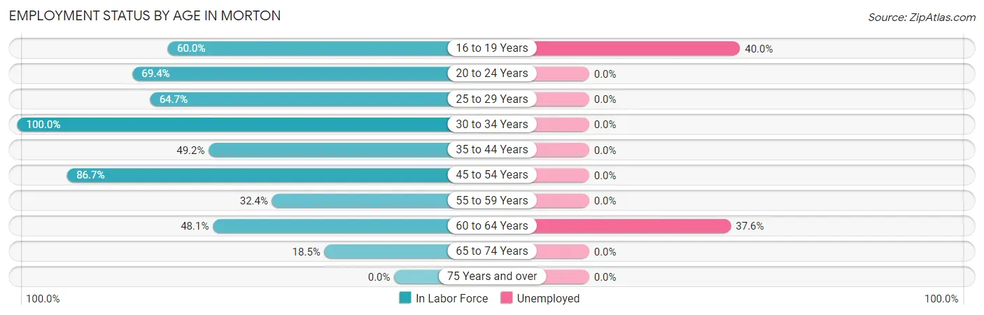 Employment Status by Age in Morton