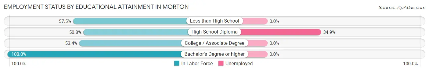 Employment Status by Educational Attainment in Morton