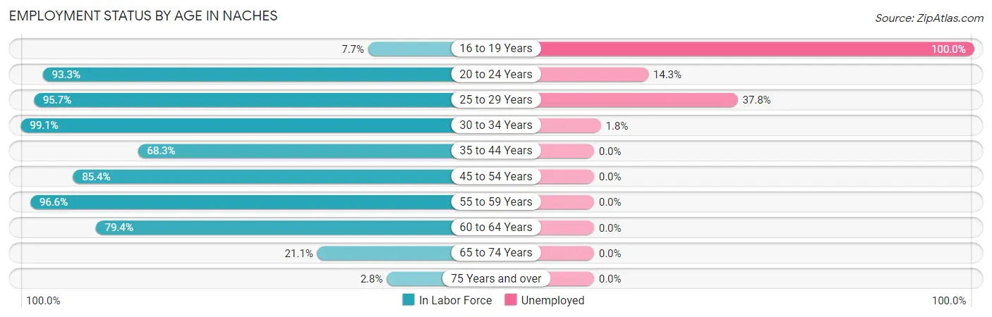 Employment Status by Age in Naches