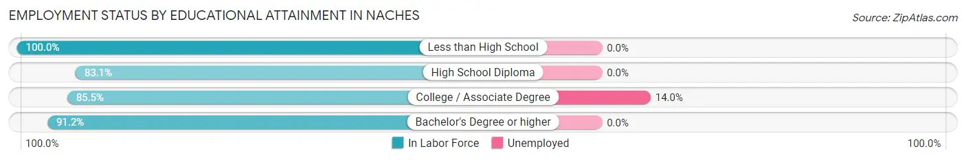 Employment Status by Educational Attainment in Naches