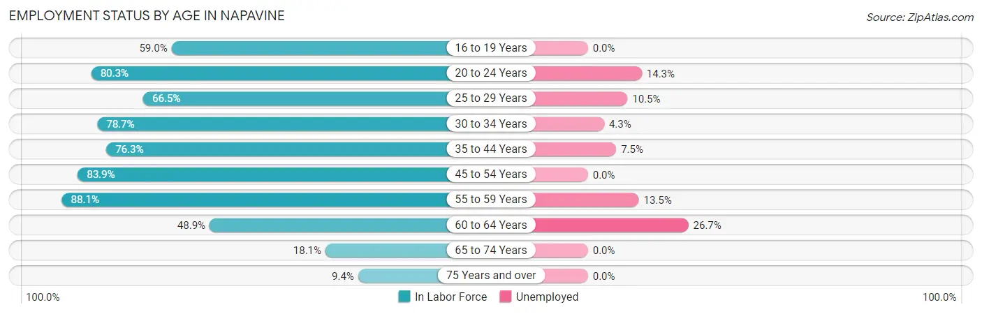 Employment Status by Age in Napavine
